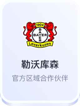 开云体育合作勒沃库森